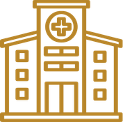Healthcare Systems Icon
